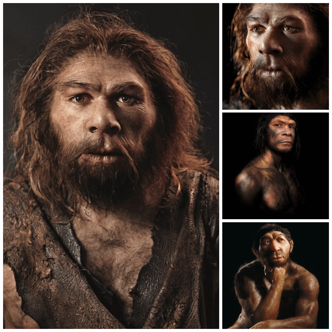 photo-collage.png (18)