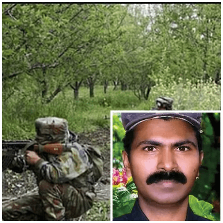 photo-collage.png (6)